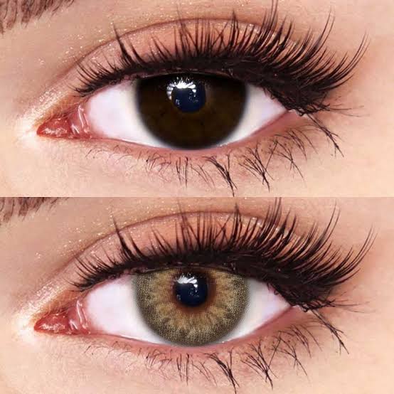 BROWN HAZEL