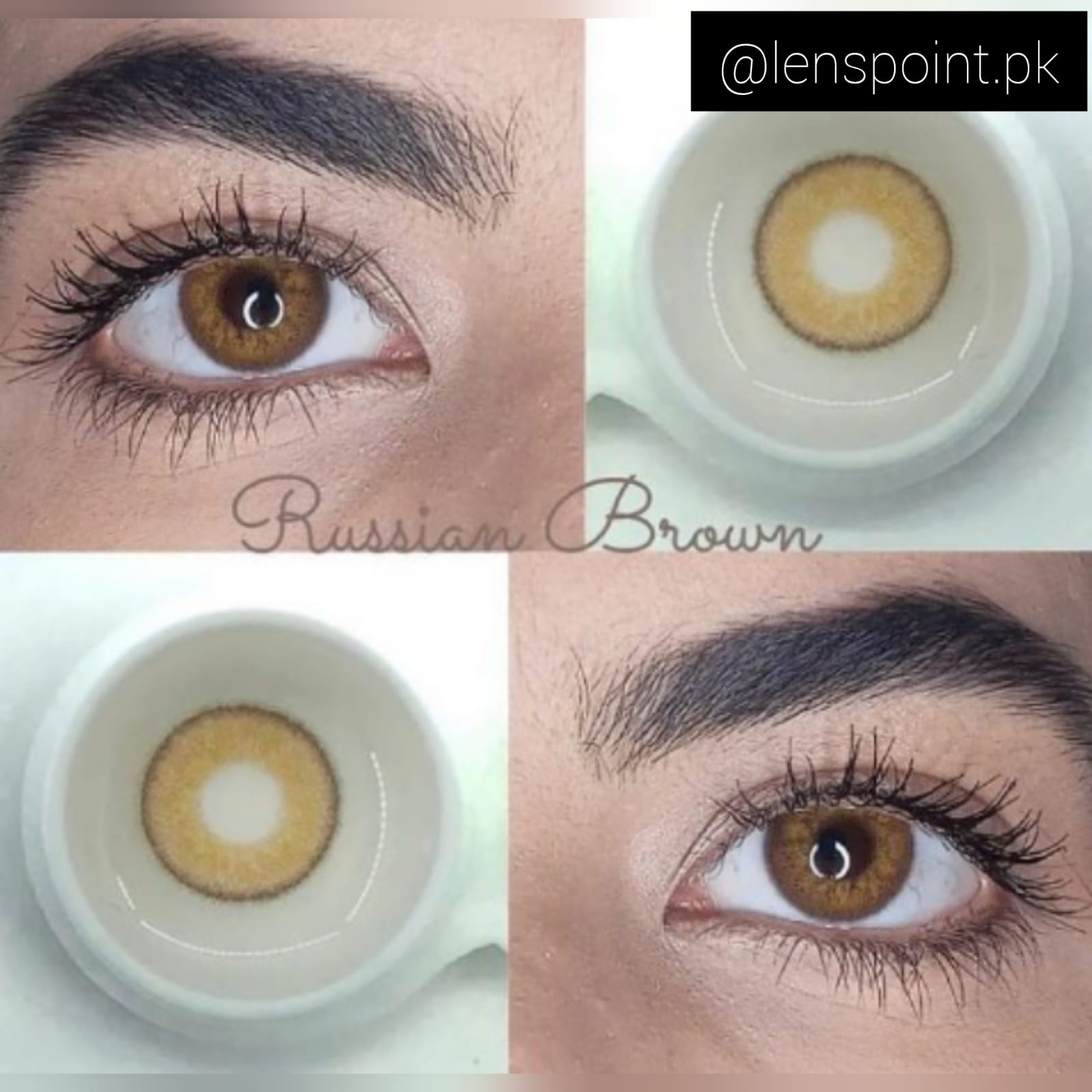 RUSSIAN BROWN