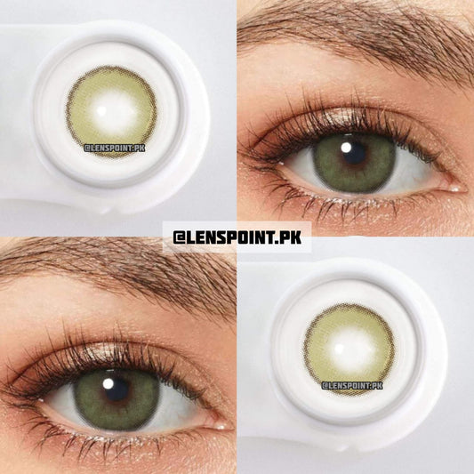 Outline Green