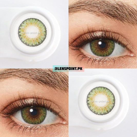 3 Tone Green