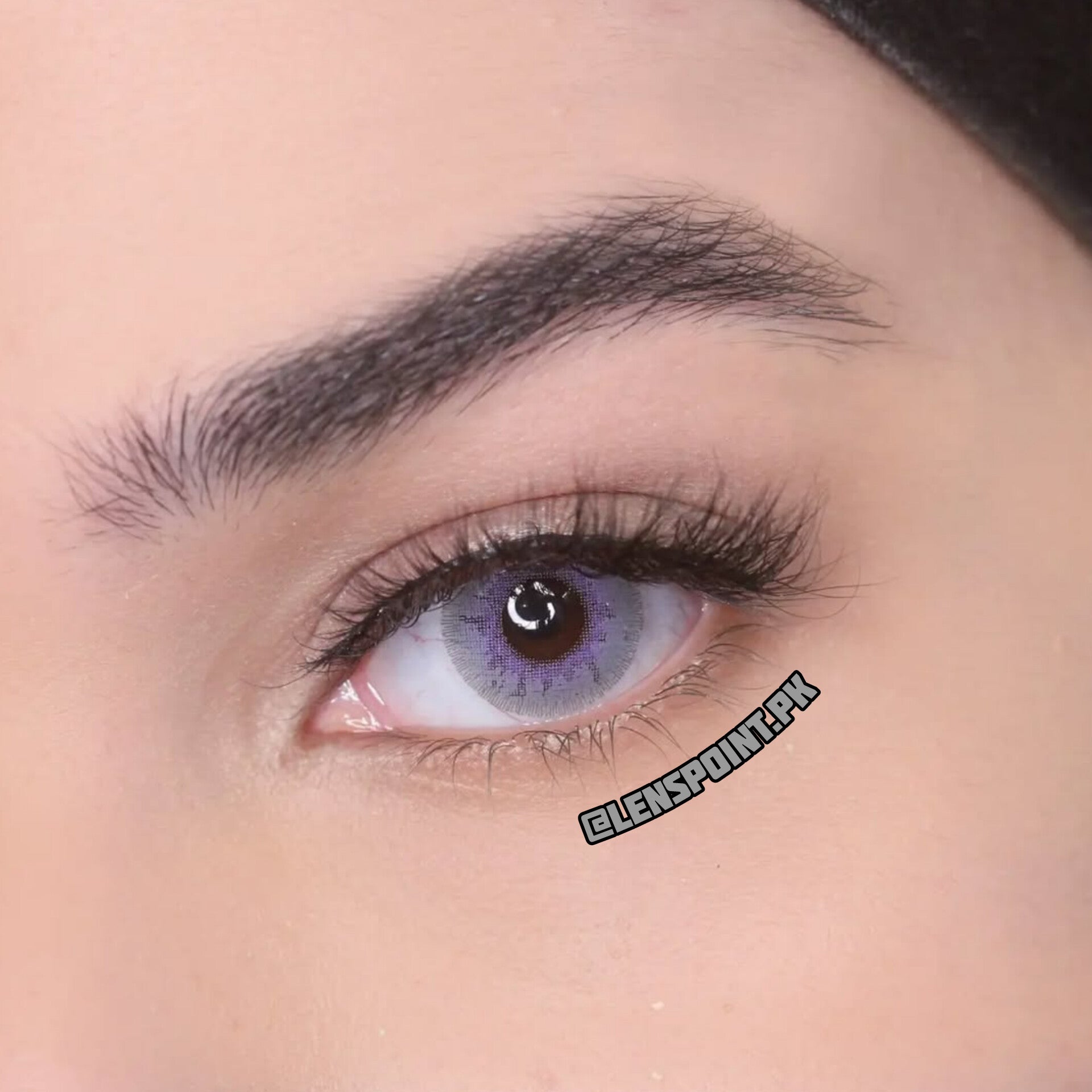 LAVENDER GRAY