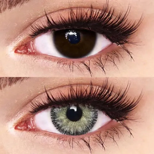 LUMIRERE GRAY (EYESIGHT)