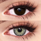 LUMIRERE GRAY (EYESIGHT)